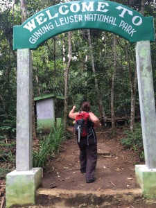 Don't take my word alone -- Jennifer braving the entrance to the jungle of Gunung Leuser National Park.  